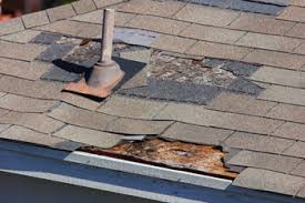 Best Roofing Repair in Honolulu